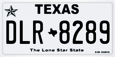 TX license plate DLR8289