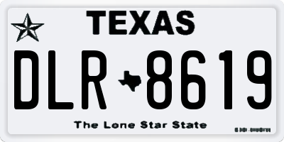 TX license plate DLR8619