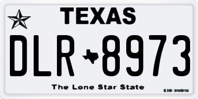 TX license plate DLR8973
