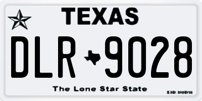 TX license plate DLR9028