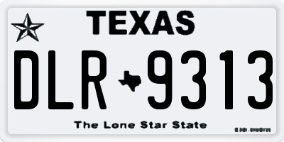 TX license plate DLR9313
