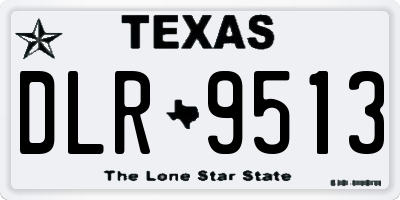 TX license plate DLR9513