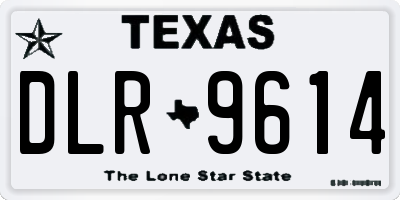 TX license plate DLR9614