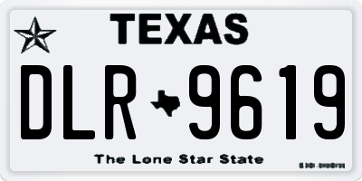 TX license plate DLR9619