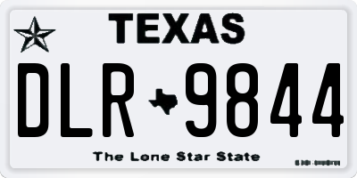 TX license plate DLR9844