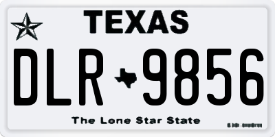 TX license plate DLR9856