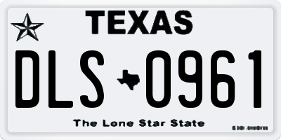 TX license plate DLS0961