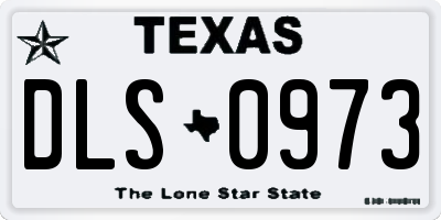 TX license plate DLS0973
