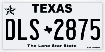TX license plate DLS2875