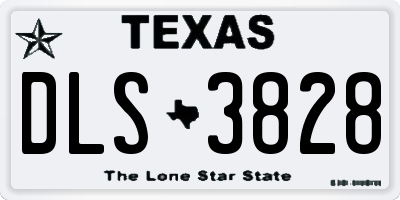TX license plate DLS3828
