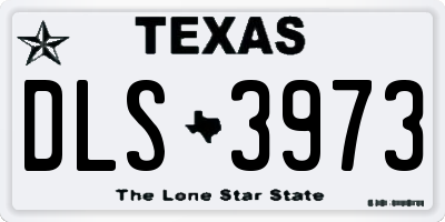 TX license plate DLS3973