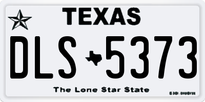 TX license plate DLS5373