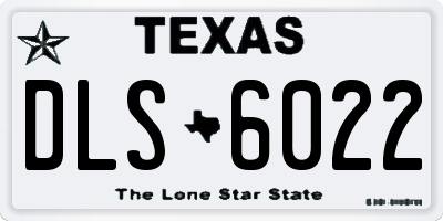 TX license plate DLS6022