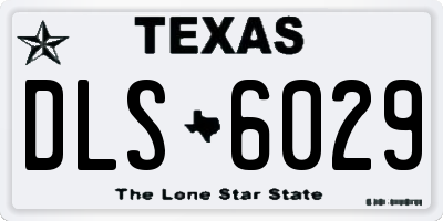TX license plate DLS6029