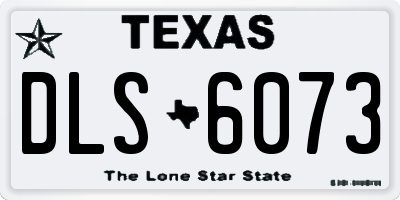 TX license plate DLS6073