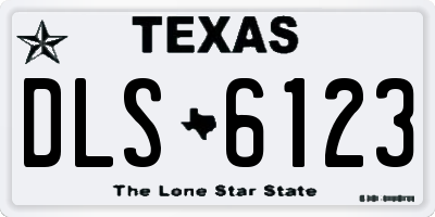 TX license plate DLS6123