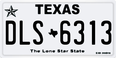 TX license plate DLS6313