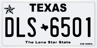 TX license plate DLS6501