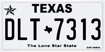 TX license plate DLT7313