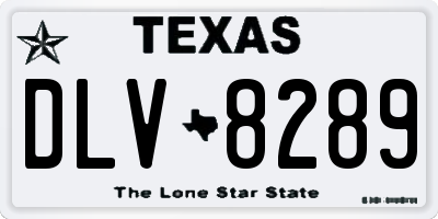 TX license plate DLV8289