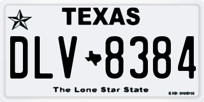 TX license plate DLV8384