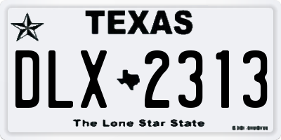 TX license plate DLX2313