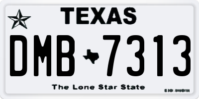 TX license plate DMB7313