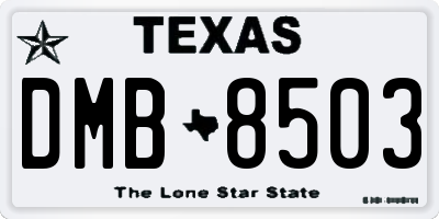 TX license plate DMB8503