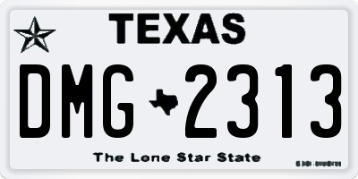 TX license plate DMG2313