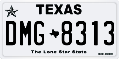 TX license plate DMG8313