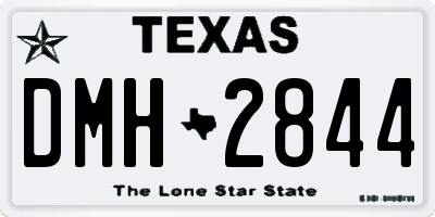 TX license plate DMH2844