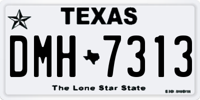 TX license plate DMH7313