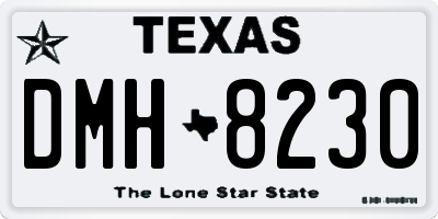 TX license plate DMH8230