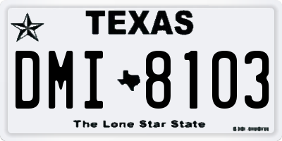 TX license plate DMI8103