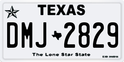 TX license plate DMJ2829