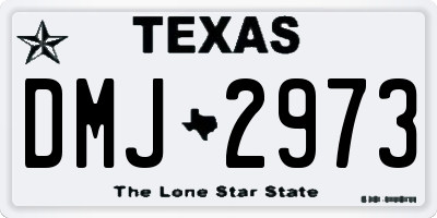 TX license plate DMJ2973