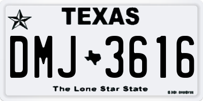 TX license plate DMJ3616