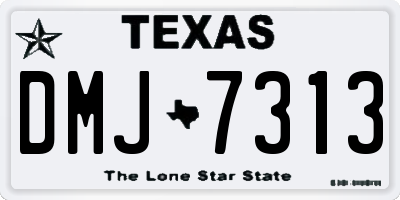 TX license plate DMJ7313