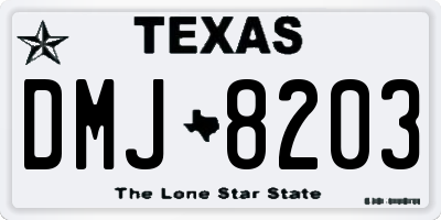 TX license plate DMJ8203