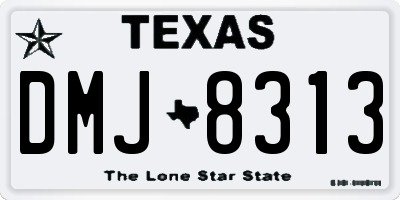 TX license plate DMJ8313