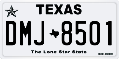 TX license plate DMJ8501