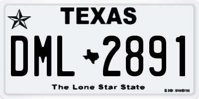 TX license plate DML2891