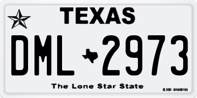 TX license plate DML2973