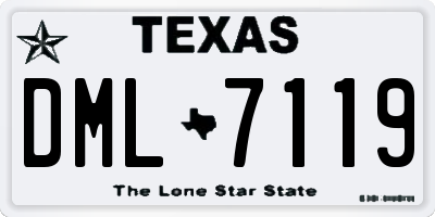 TX license plate DML7119