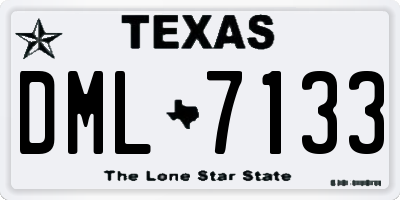 TX license plate DML7133