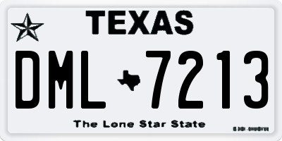 TX license plate DML7213