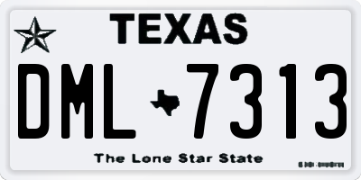 TX license plate DML7313