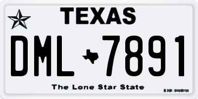 TX license plate DML7891