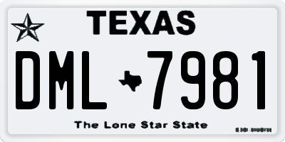 TX license plate DML7981