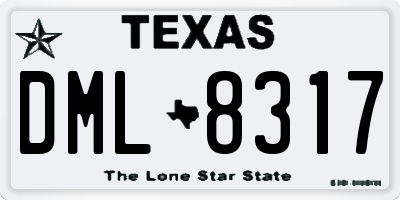 TX license plate DML8317